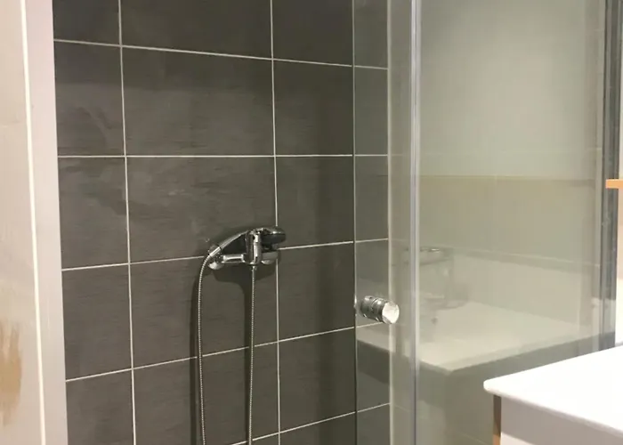 Meublee Avec Salle De Bain Privative * ナント